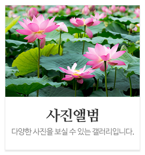 약사여래불_메인하단_사진앨범